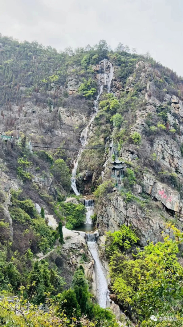 泰陽(yáng)醫(yī)藥春游踏青