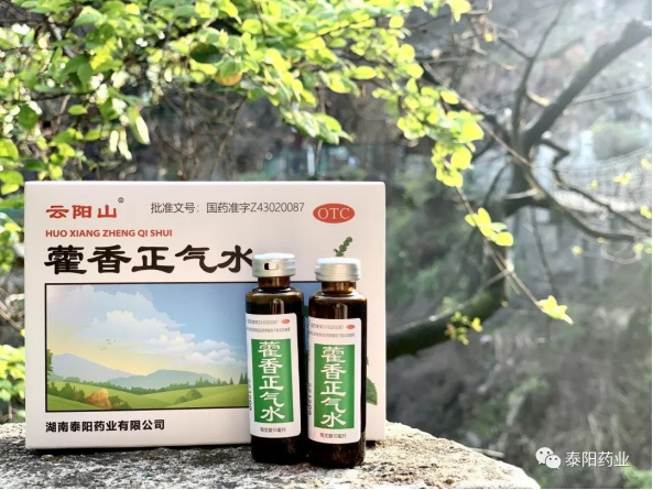 泰陽(yáng)醫(yī)藥春游踏青