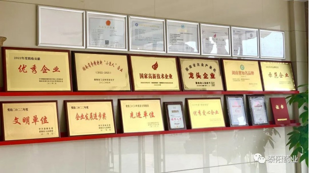 泰陽(yáng)醫(yī)藥春游踏青
